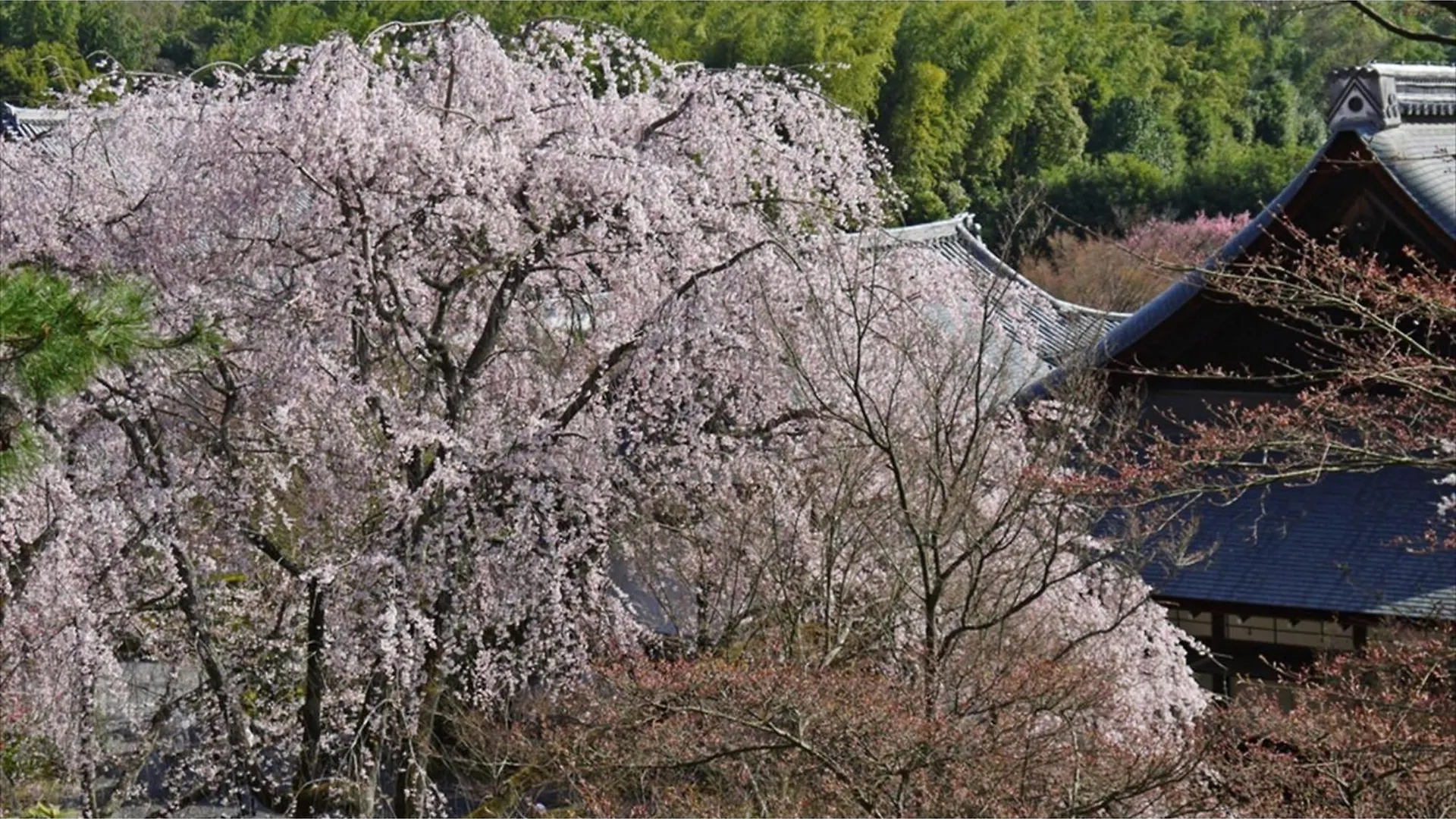 River Side Arashiyama - Vacation Stay 86249V Kyoto 0*,