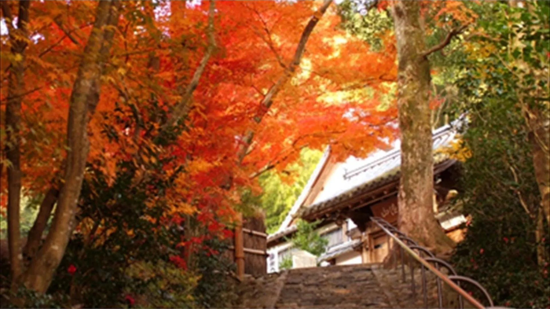 River Side Arashiyama - Vacation Stay 86249V Kyoto Hotel