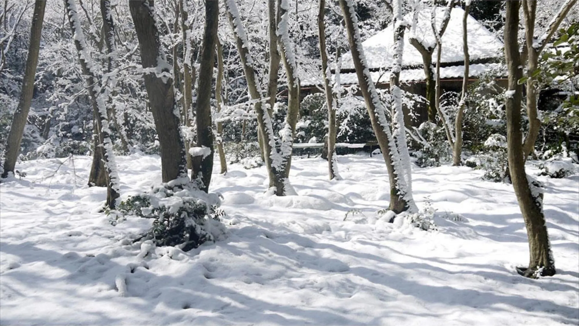 River Side Arashiyama - Vacation Stay 86249V Kyoto